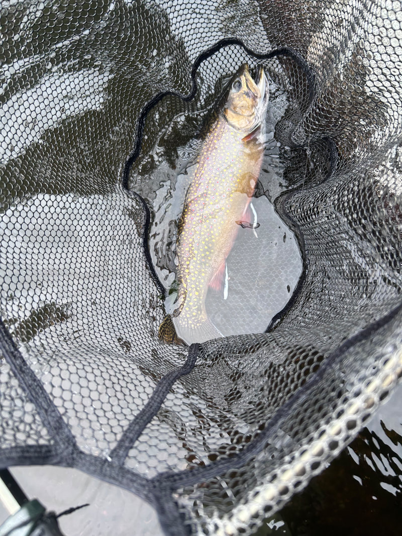 Change Tactics When Pressure is on Summer Trout - Game & Fish
